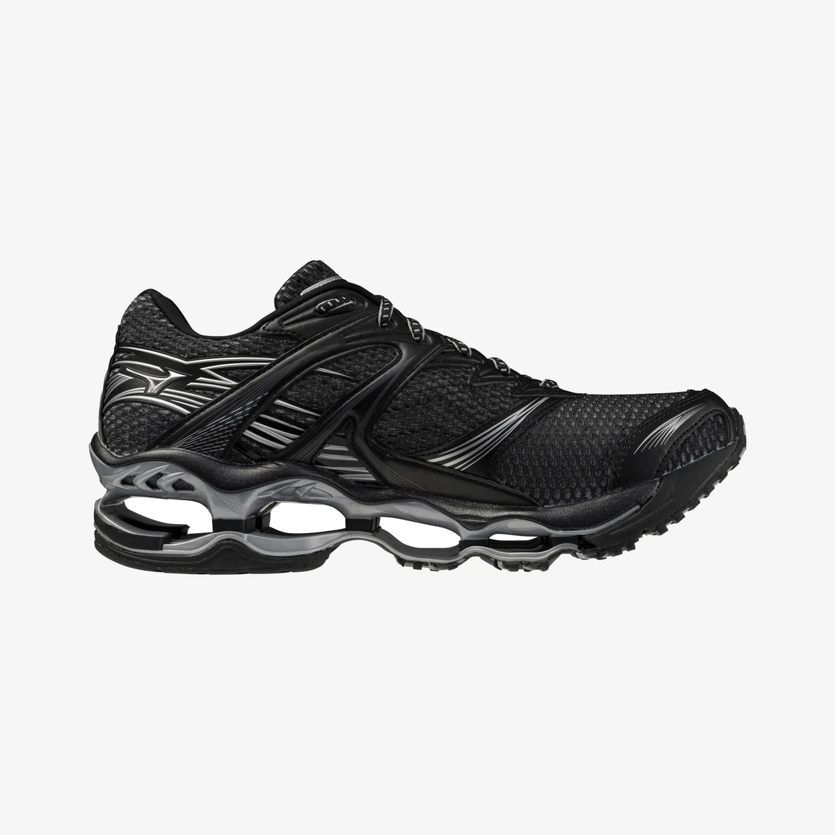 Black Silver (02)