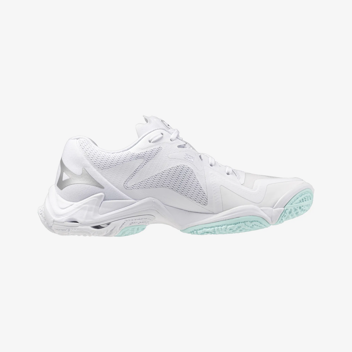 Blue Tint (45)