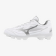 White Silver (01)
