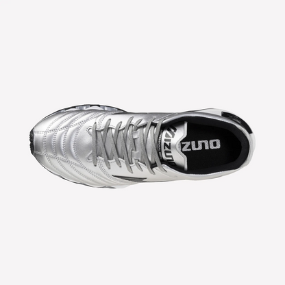 Silver (03)