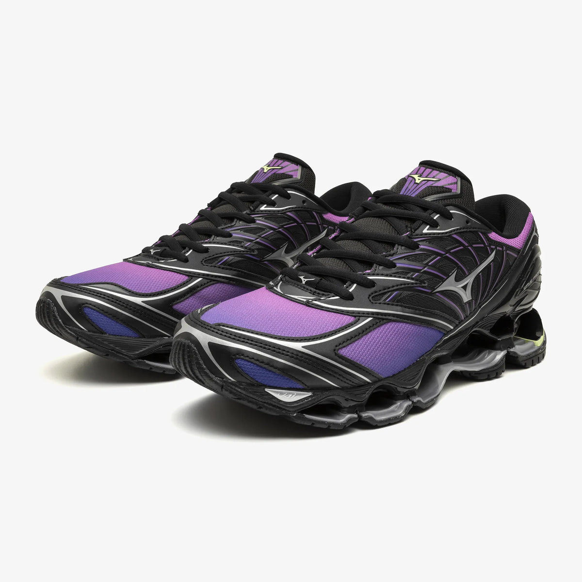 Spring Crocus Black (01)
