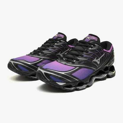 Spring Crocus Black (01)