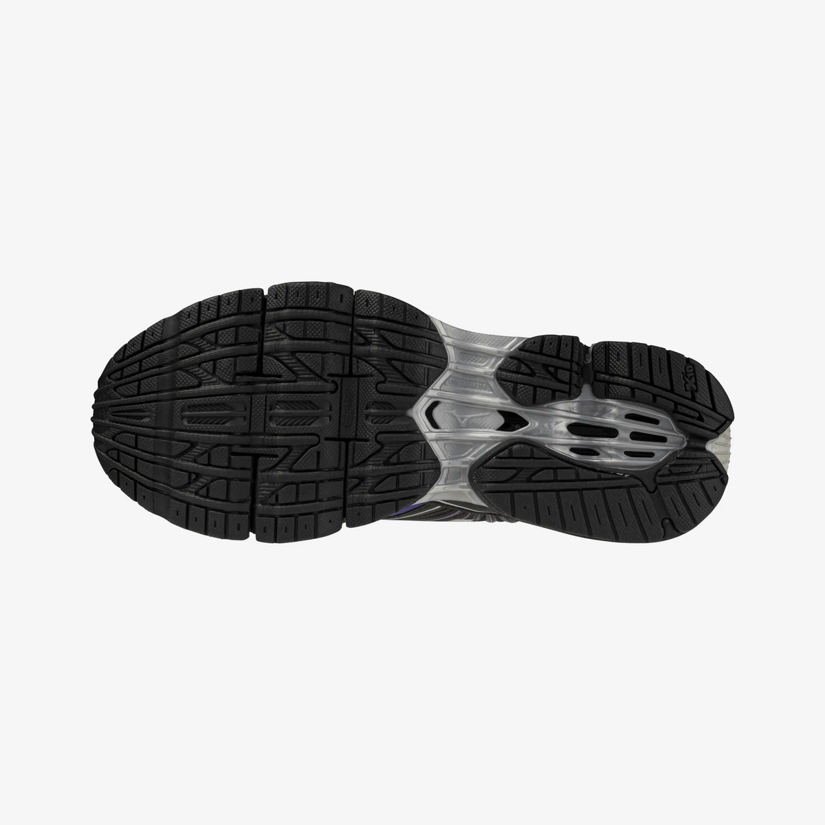 Spring Crocus Black (01)