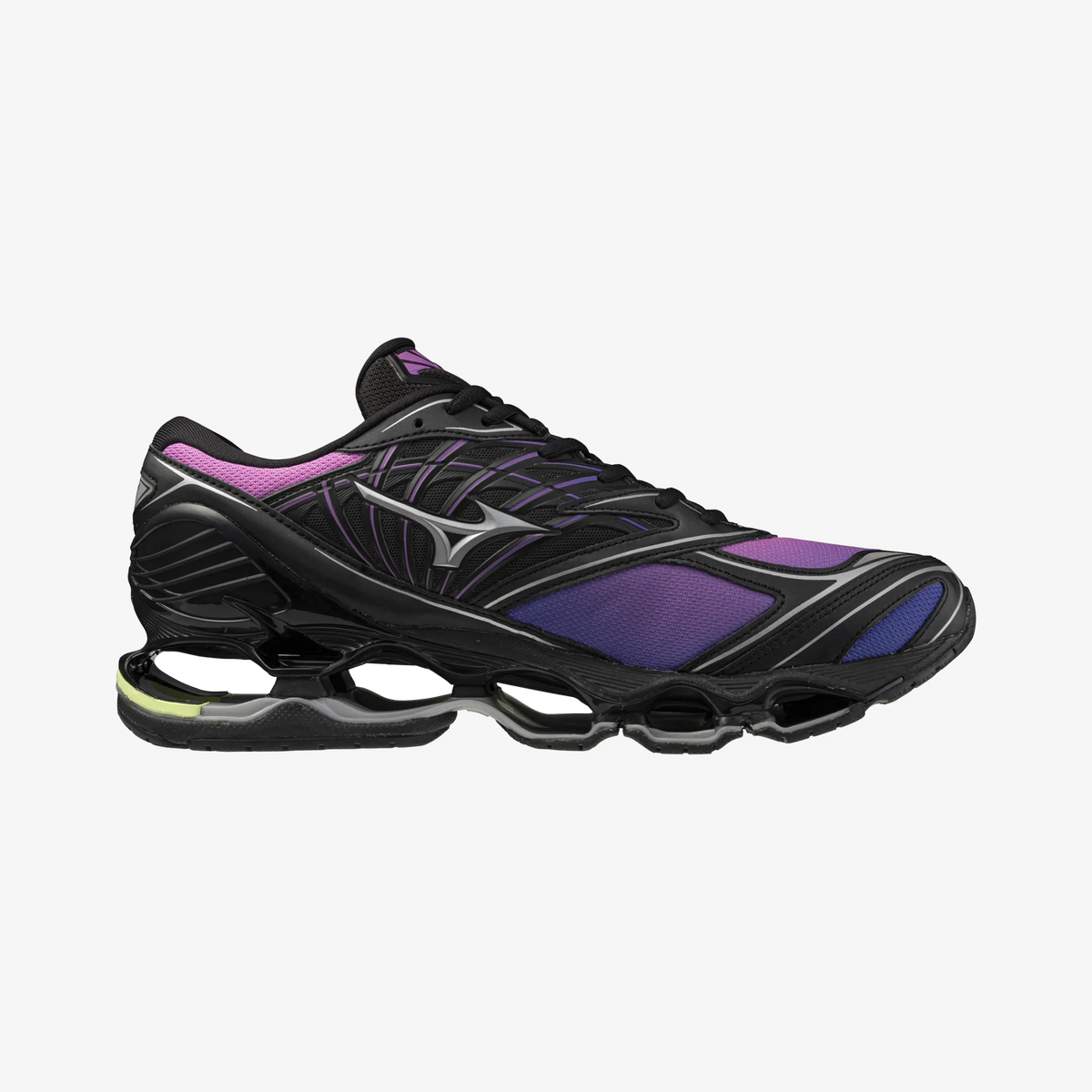 Spring Crocus Black (01)