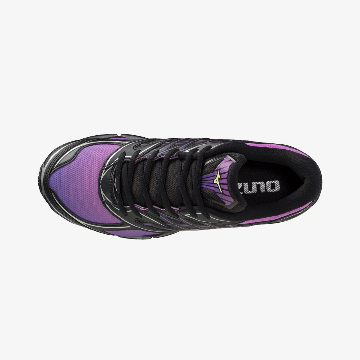 Spring Crocus Black (01)