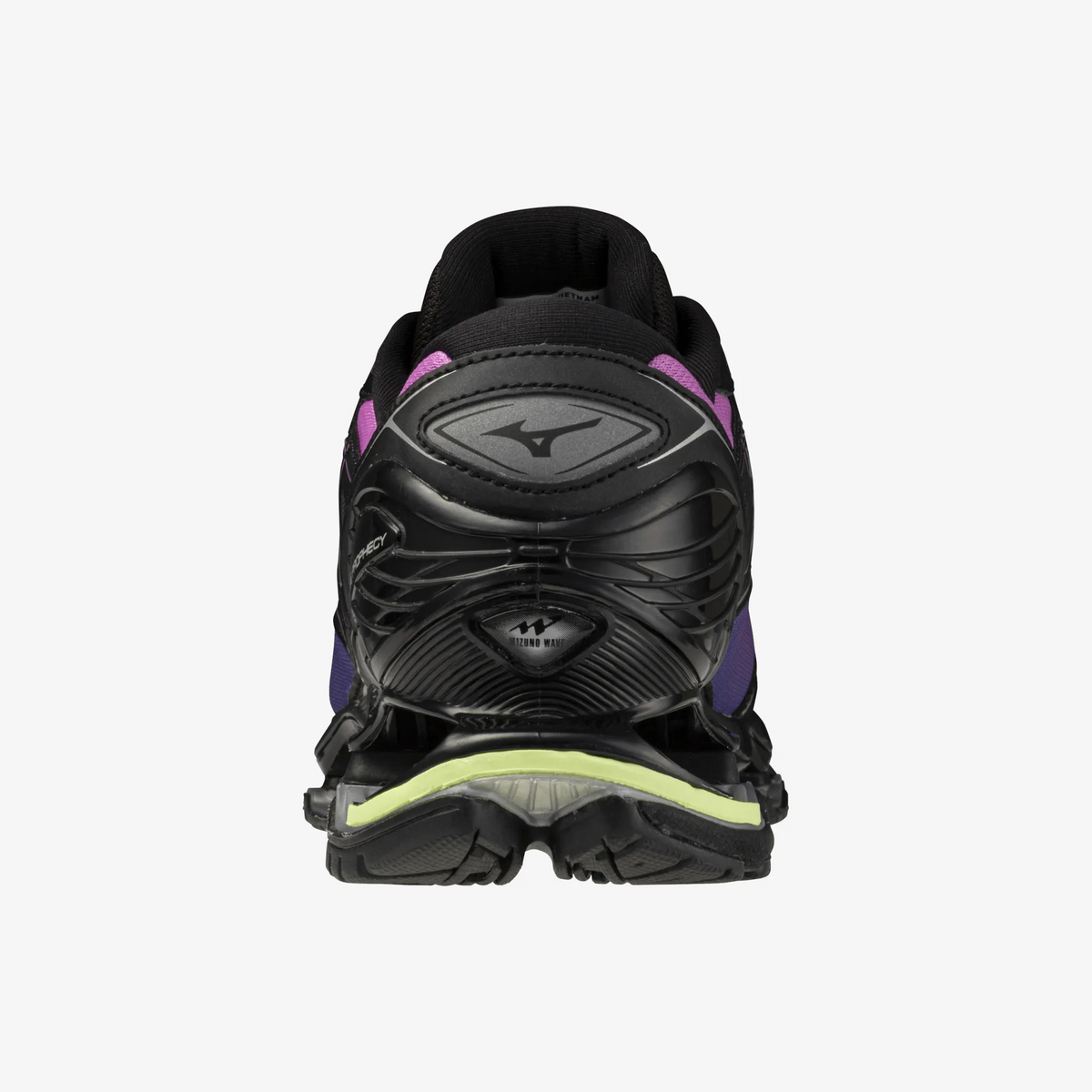 Spring Crocus Black (01)