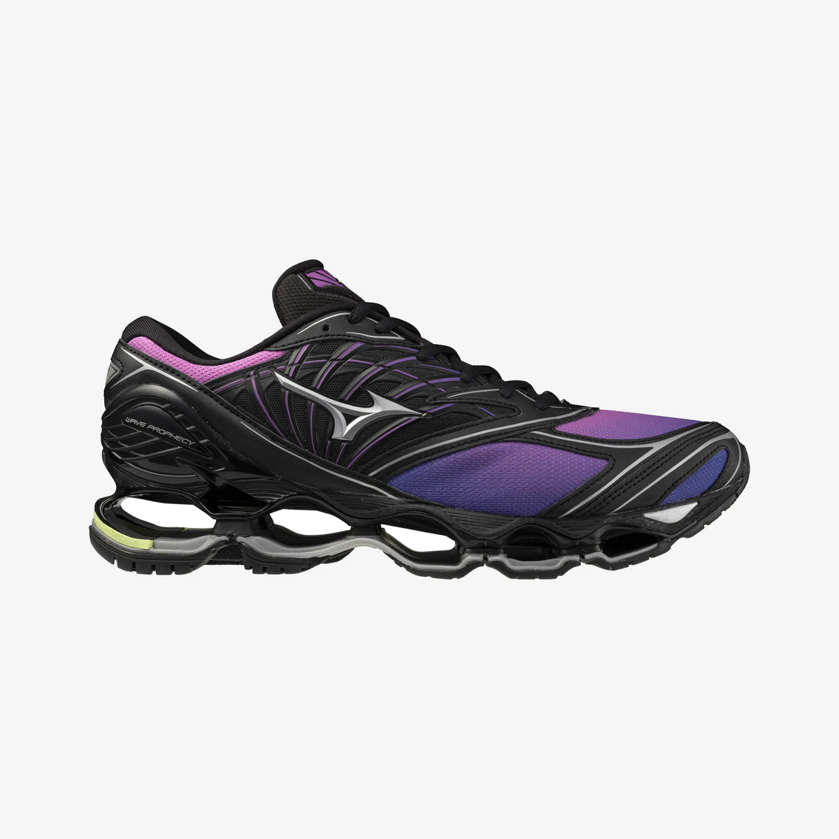 Spring Crocus Black (01)
