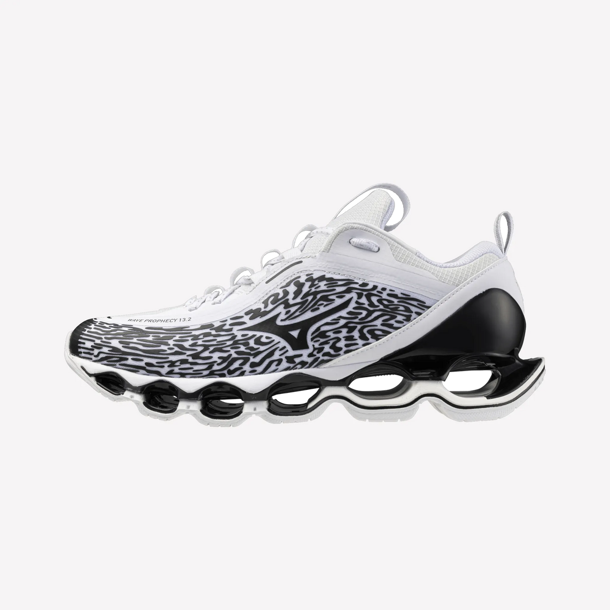 White Black (04)