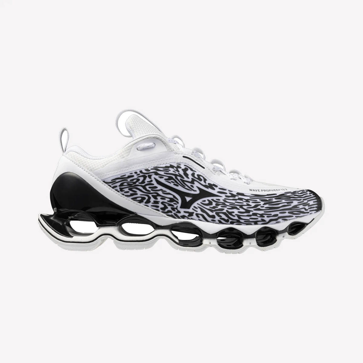 White Black (04)