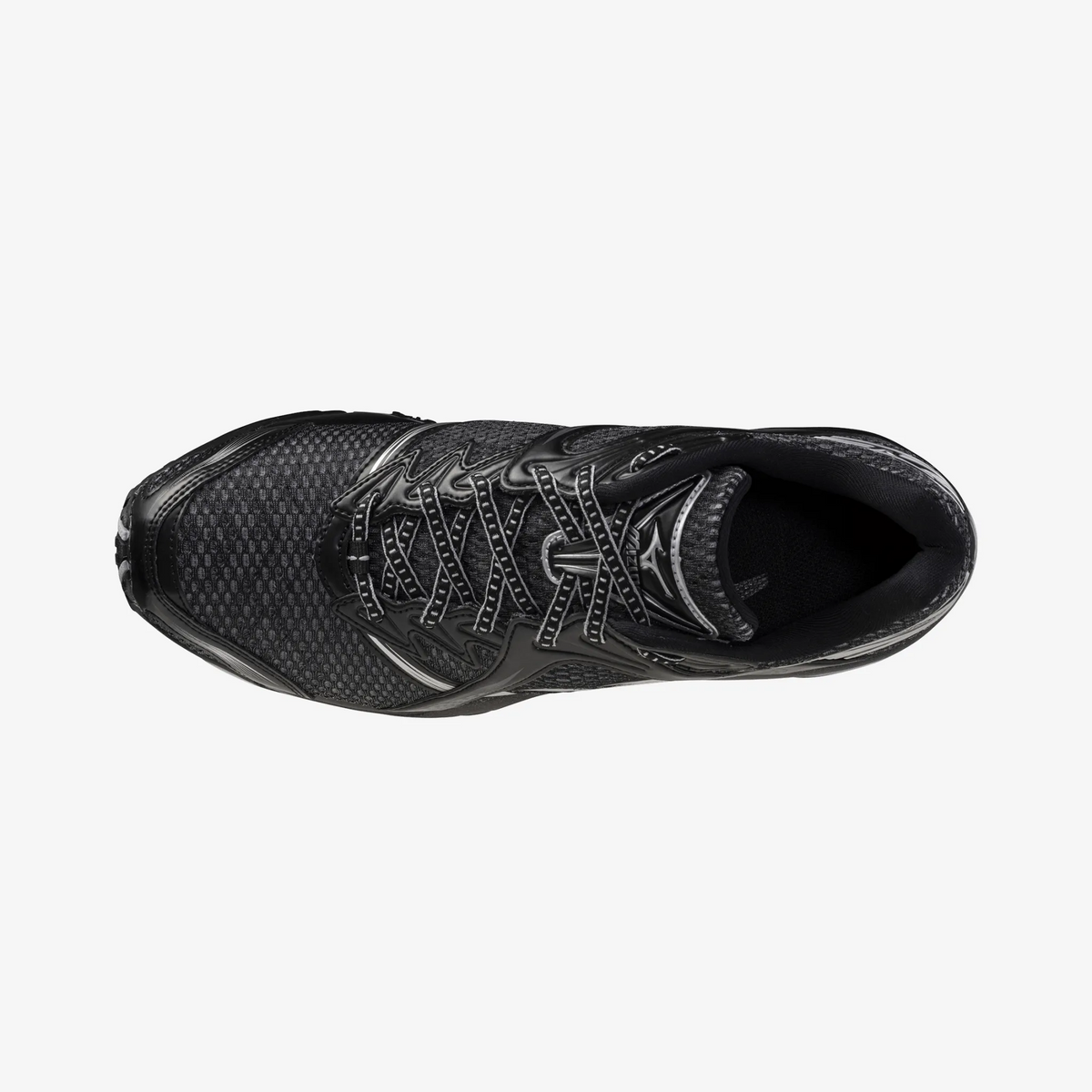 Black Silver (02)