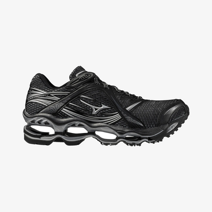 Black Silver (02)