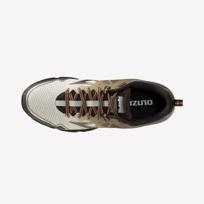 Beige Metallic Grey (01)