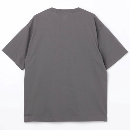 Ash Grey (07)