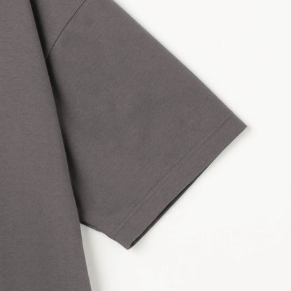 Ash Grey (07)