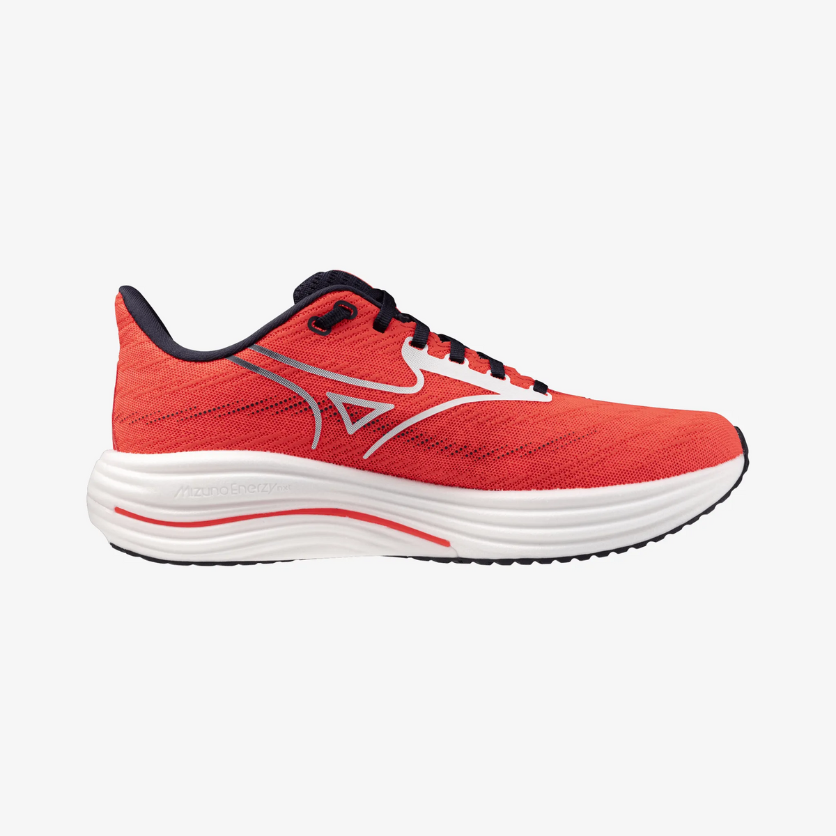 Fiery Coral (12)