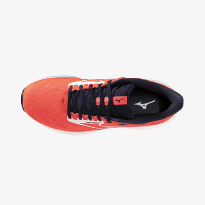 Fiery Coral (12)