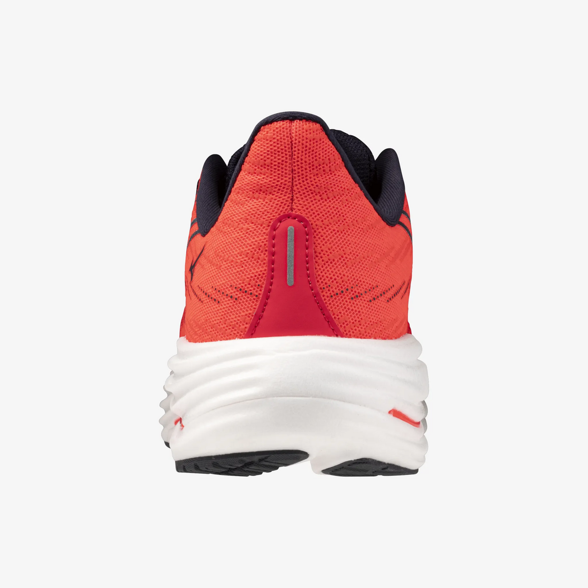 Fiery Coral (12)
