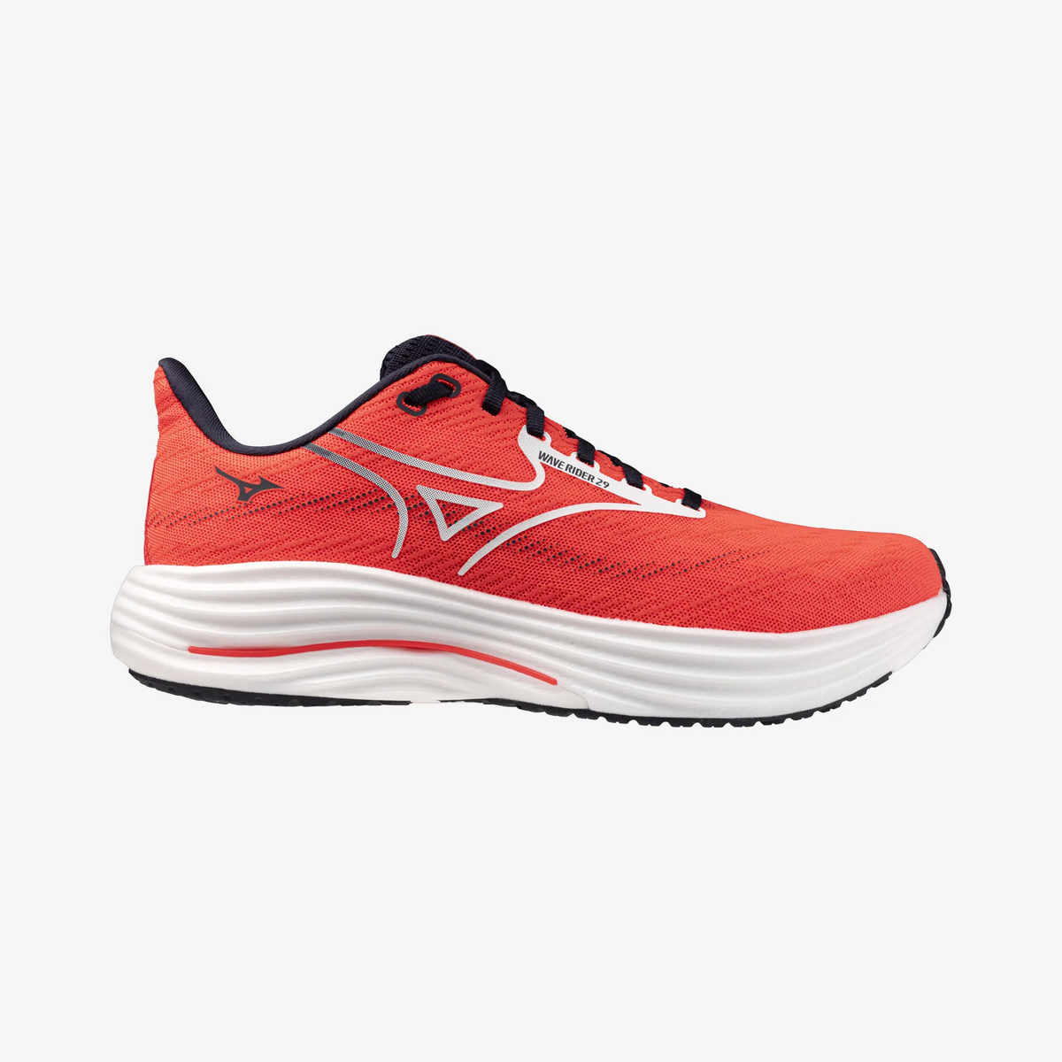 Fiery Coral (12)
