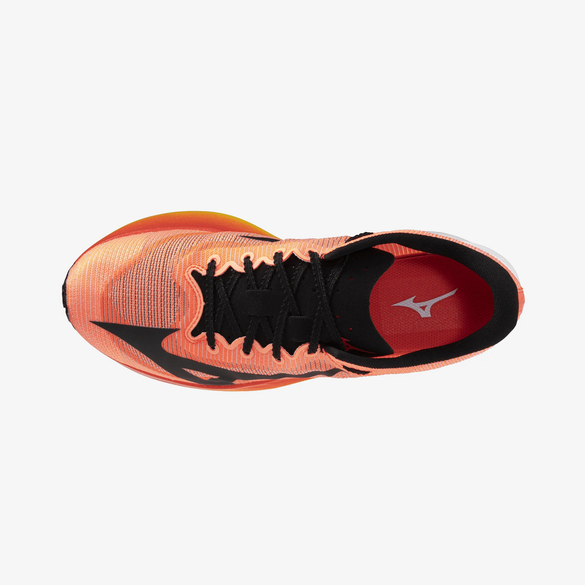 Orange Black Orange (81)