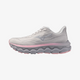 Dapple Gray (71)