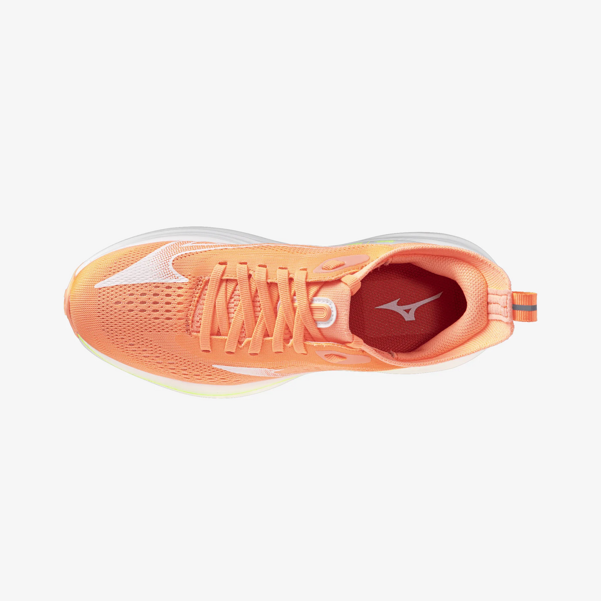 Flamingo Coral White (72)