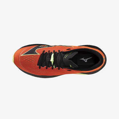 Orange Lime (51)