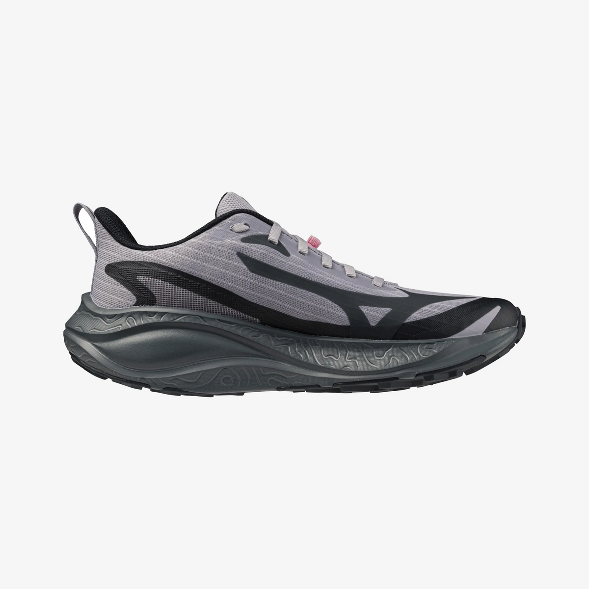 Dapple Gray (71)