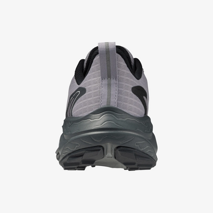 Dapple Gray (71)