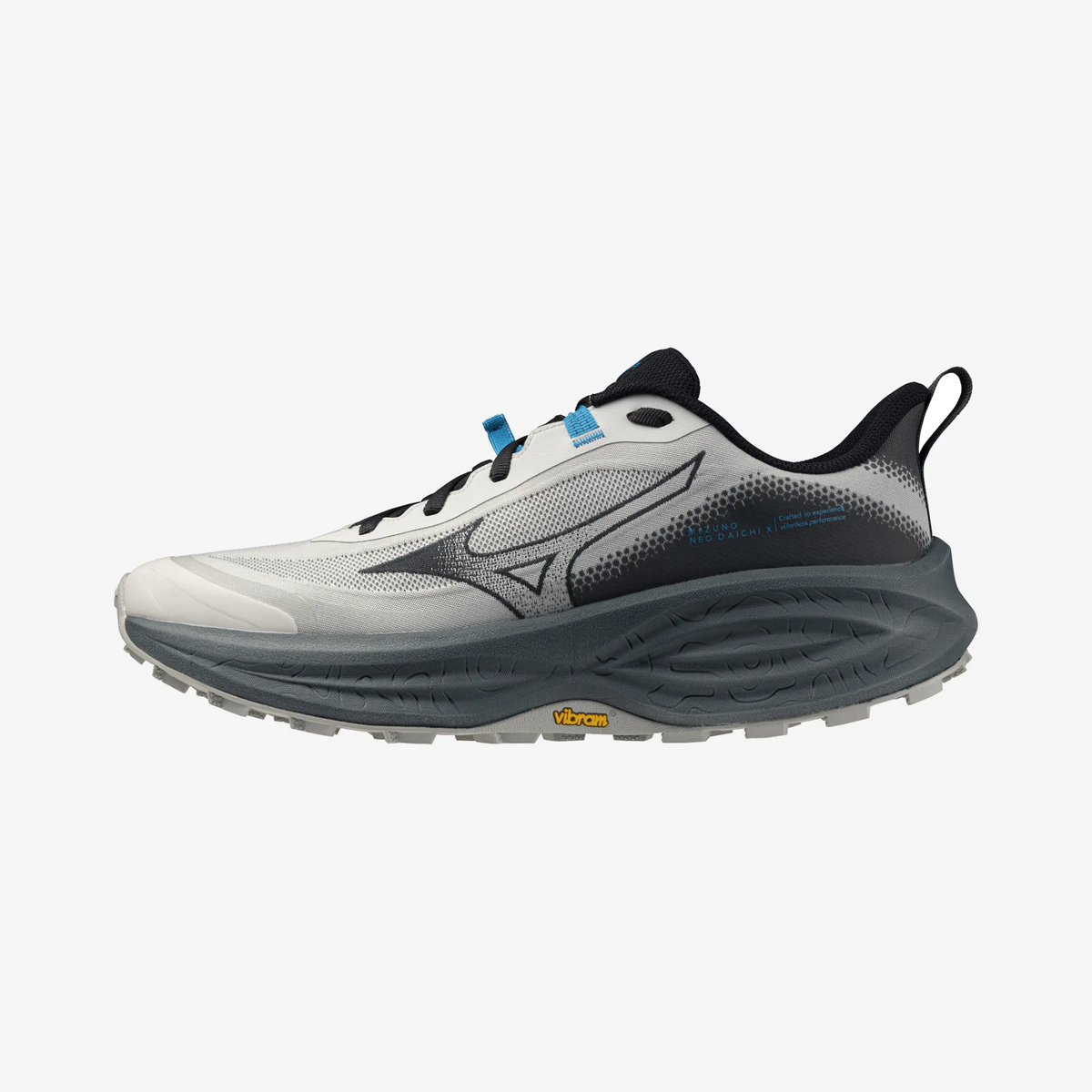 Foggy Dew (51)