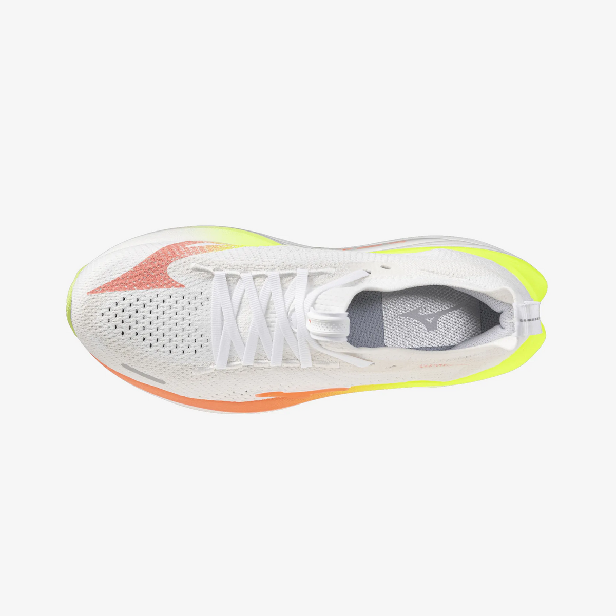 White Coral (71)