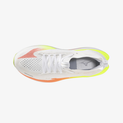 White Coral (71)