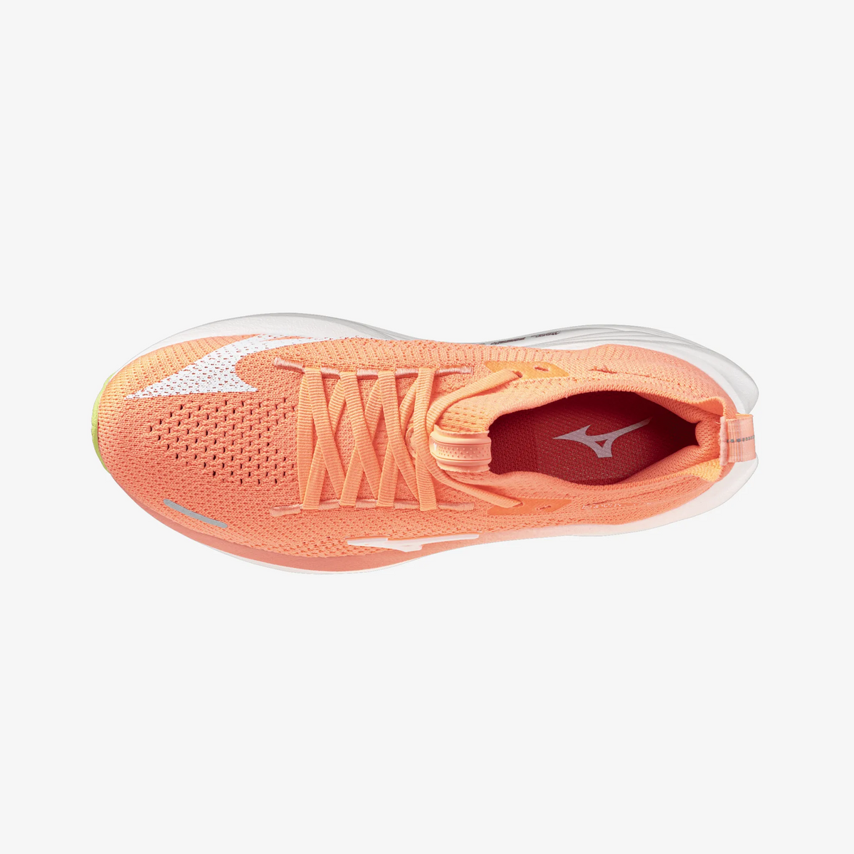 Flamingo Coral White (72)