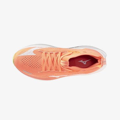 Flamingo Coral White (72)