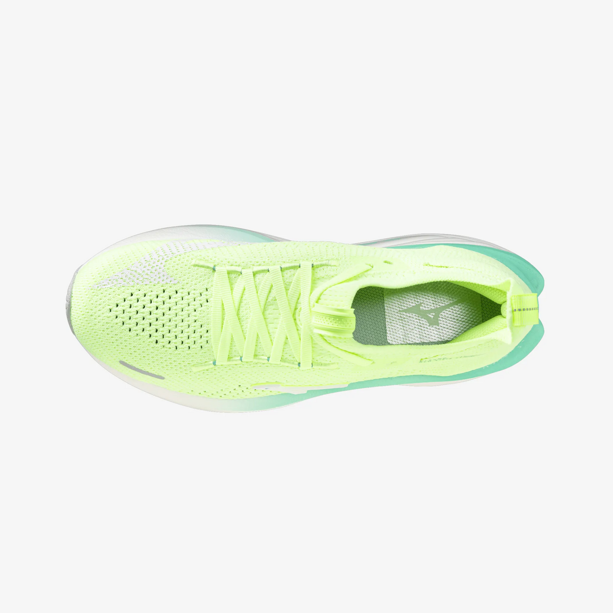 Lime Pulp (76)