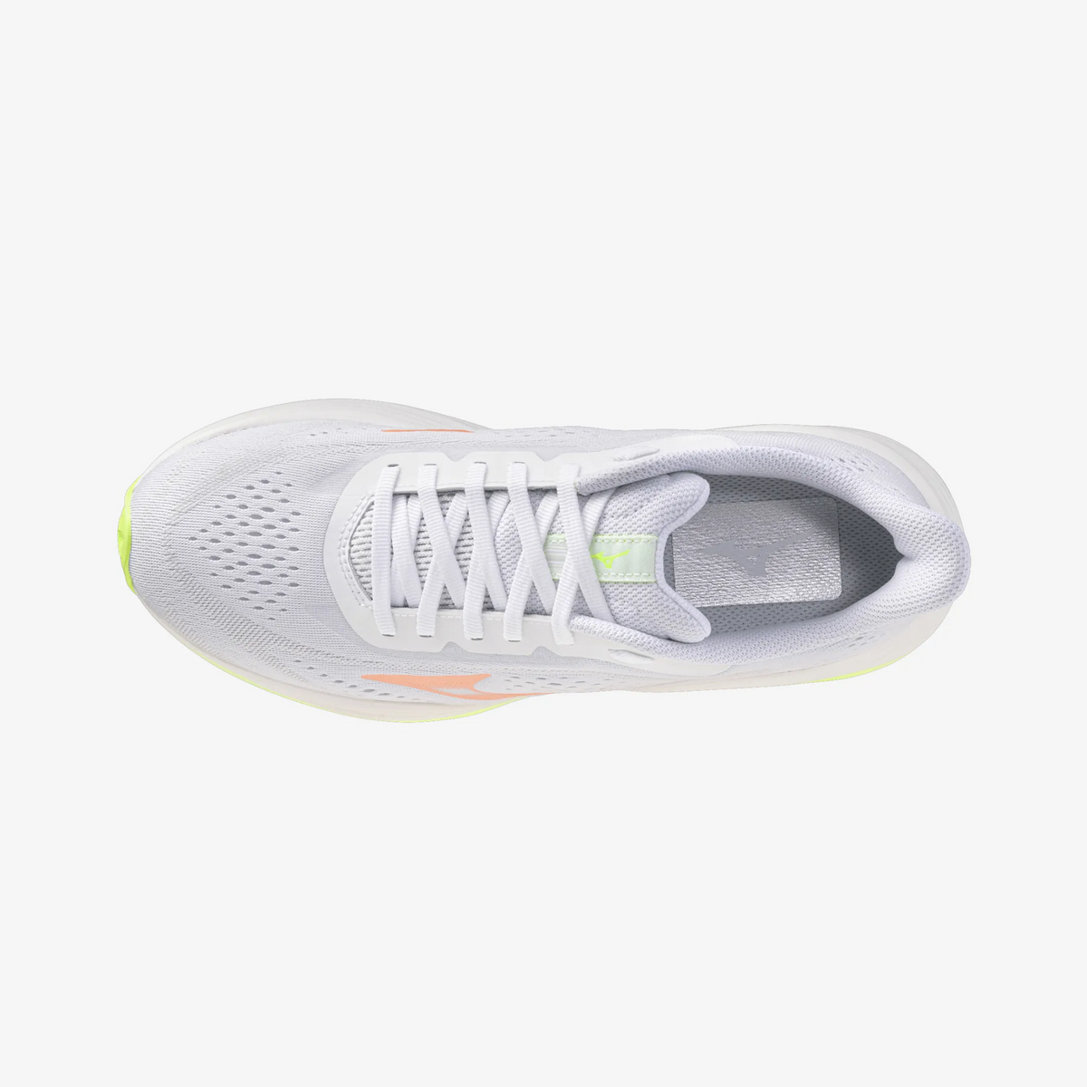 White Flamingo Orange (71)