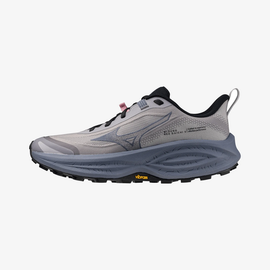Dapple Gray (71)