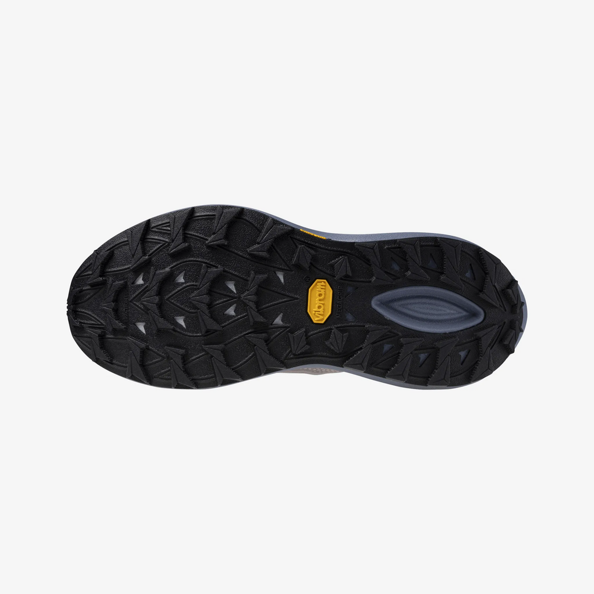 Dapple Gray (71)