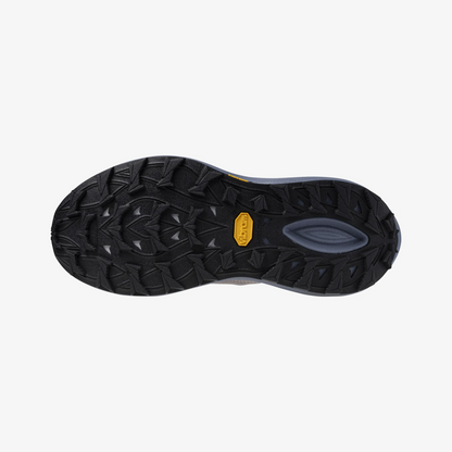Dapple Gray (71)