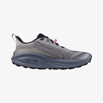 Dapple Gray (71)