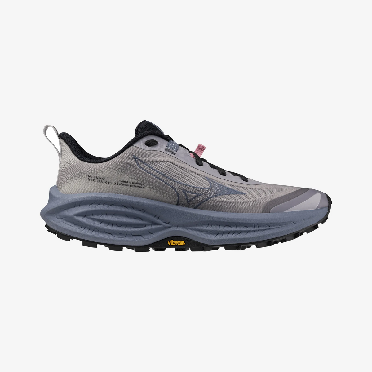 Dapple Gray (71)