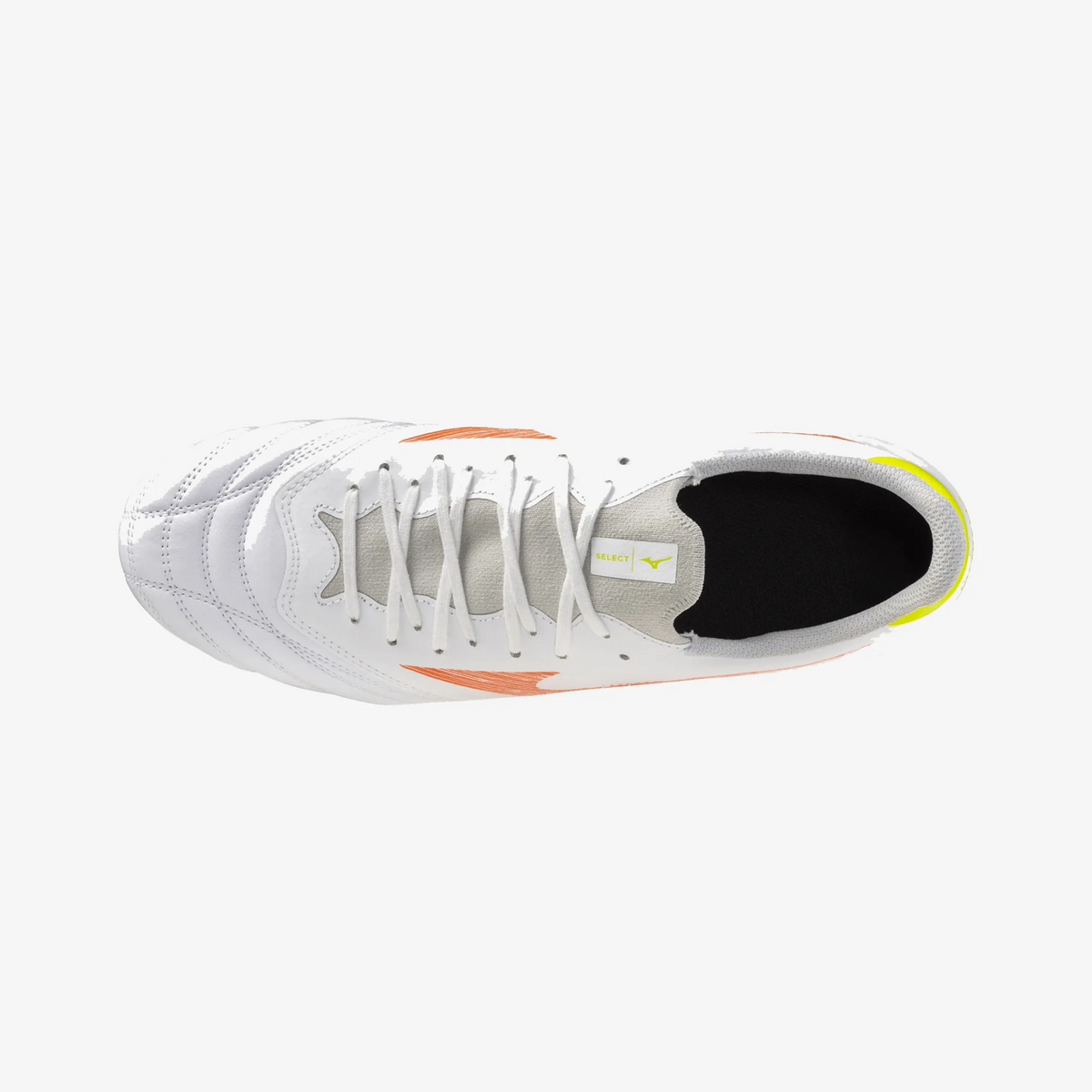 Prism White (54)