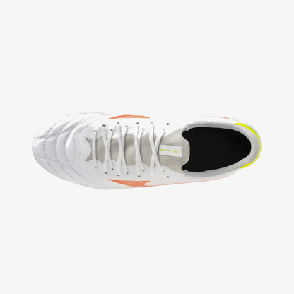 Prism White (54)