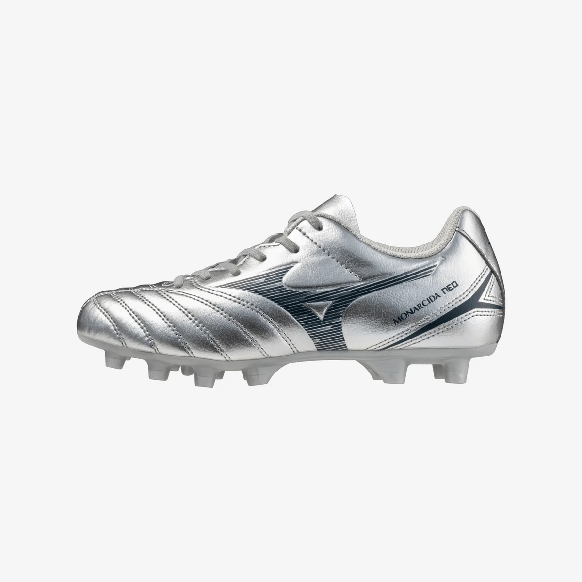 Galaxy Silver (04)