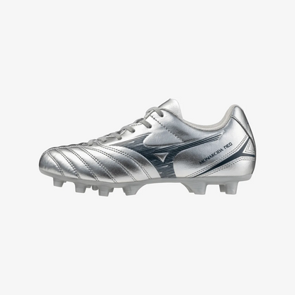 Galaxy Silver (04)