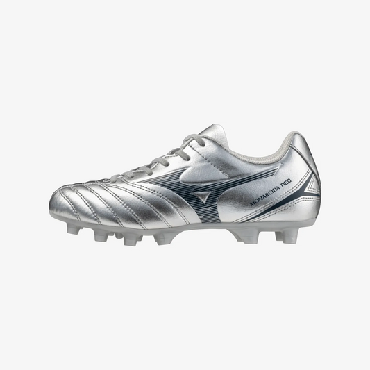 Galaxy Silver (04)