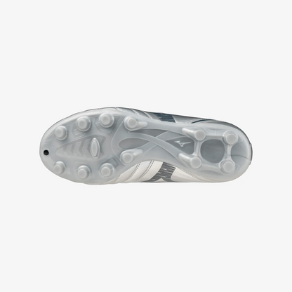 Galaxy Silver (04)
