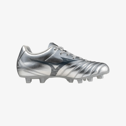 Galaxy Silver (04)