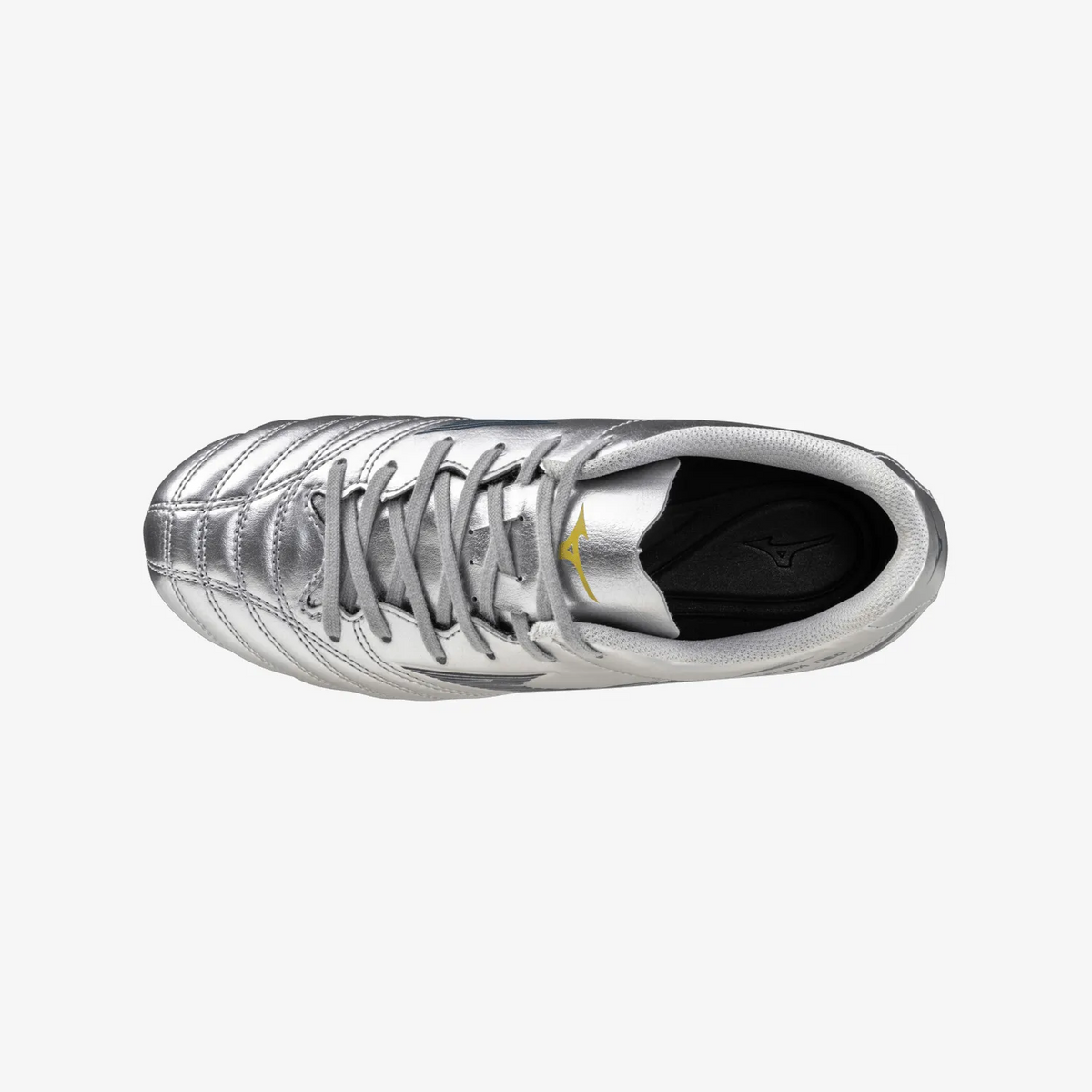 Galaxy Silver (04)