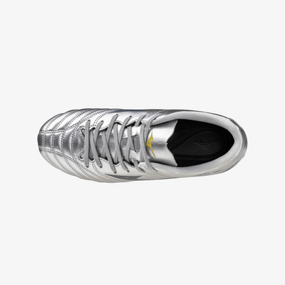 Galaxy Silver (04)