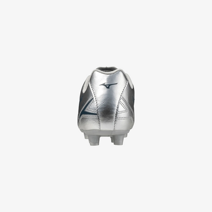 Galaxy Silver (04)